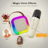 Mini Portable Karaoke Bluetooth Speaker with 2  Mike Audio Integrated Microphone Home Karaoke Wireless Bluetooth Speaker(Random Color) - Image 3